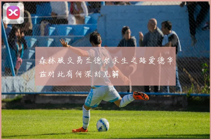 森林狼交易兰德尔求生之路爱德华兹对此有何深刻见解